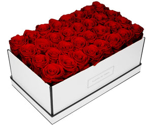 Coffee Table Collection