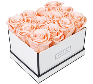 Coffee Table Collection