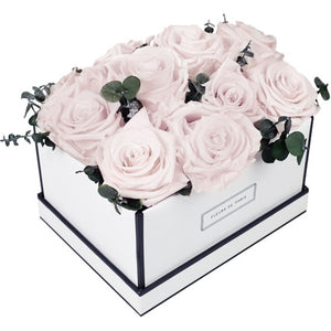 Coffee Table Collection