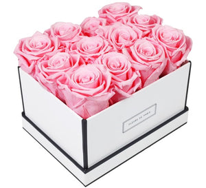 Coffee Table Collection