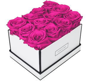 Coffee Table Collection