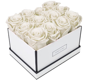 Coffee Table Collection