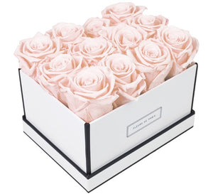 Coffee Table Collection