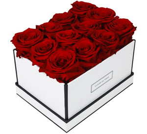 Coffee Table Collection