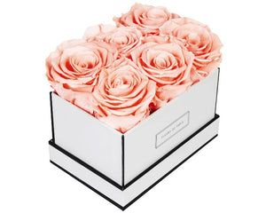 Coffee Table Collection