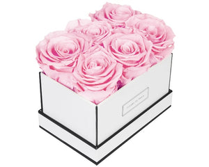 Coffee Table Collection