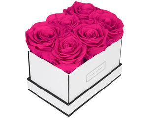 Coffee Table Collection