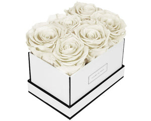 Coffee Table Collection