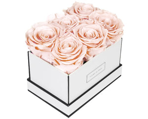 Coffee Table Collection