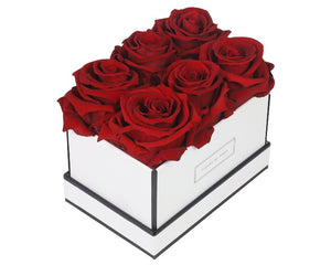 Coffee Table Collection