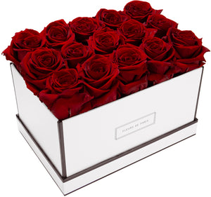 Coffee Table Collection