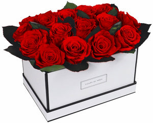 Coffee Table Collection