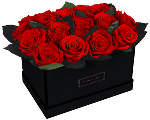 Coffee Table Collection