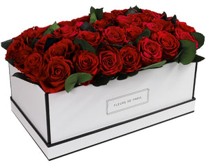 Coffee Table Collection