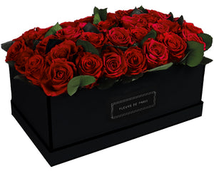 Coffee Table Collection