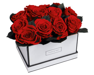 Coffee Table Collection