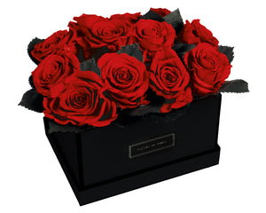 Coffee Table Collection