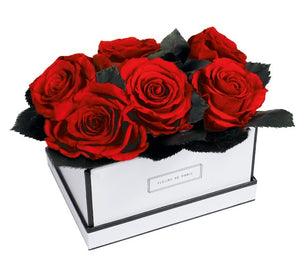 Coffee Table Collection