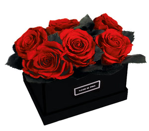 Coffee Table Collection