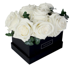 Coffee Table Collection