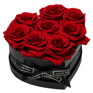 Infinite Love Collection