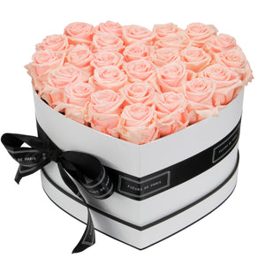 Infinite Love Collection