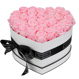 Infinite Love Collection