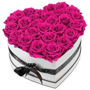 Infinite Love Collection