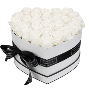 Infinite Love Collection