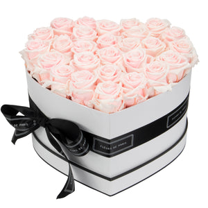 Infinite Love Collection