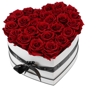 Infinite Love Collection