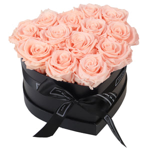 Infinite Love Collection