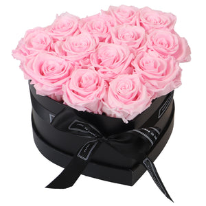 Infinite Love Collection