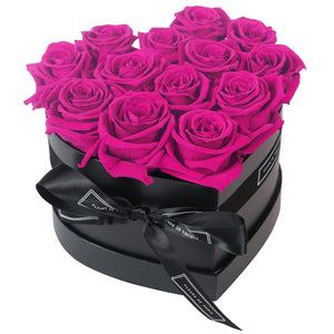 Infinite Love Collection