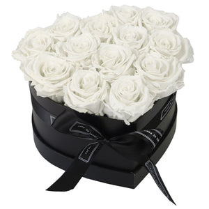 Infinite Love Collection