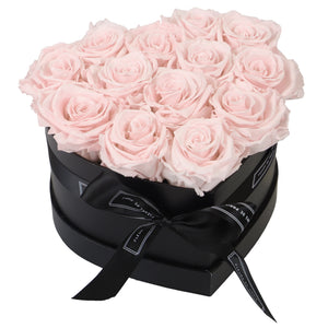 Infinite Love Collection