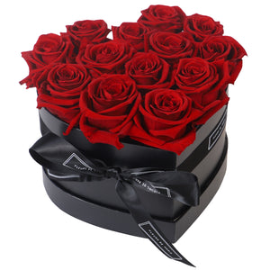 Infinite Love Collection