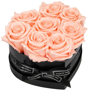 Infinite Love Collection