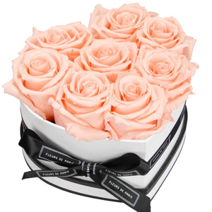 Infinite Love Collection