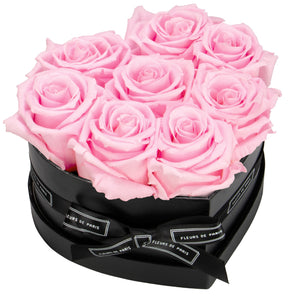 Infinite Love Collection