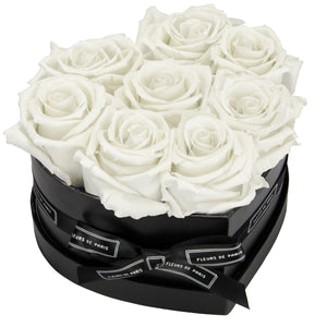 Infinite Love Collection