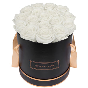 Rosé Gold Collection