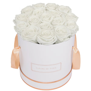 Rosé Gold Collection