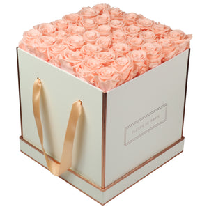 Rosé Gold Collection