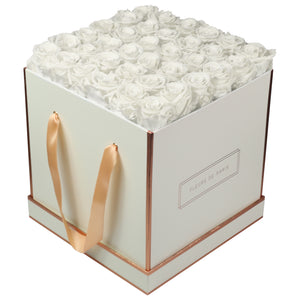 Rosé Gold Collection