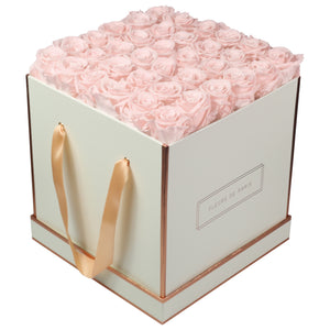 Rosé Gold Collection