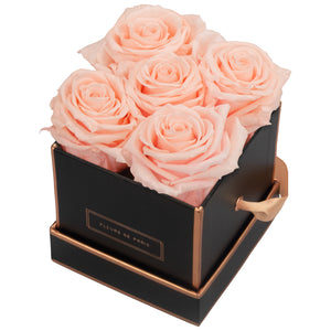 Rosé Gold Collection