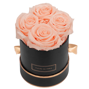 Rosé Gold Collection