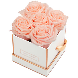 Rosé Gold Collection