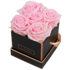 Rosé Gold Collection